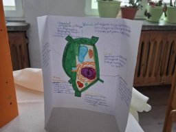 58986676313148880304391426220447391045475690n